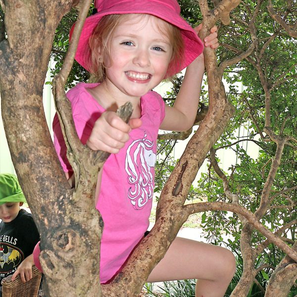 Medowie Community Preschool