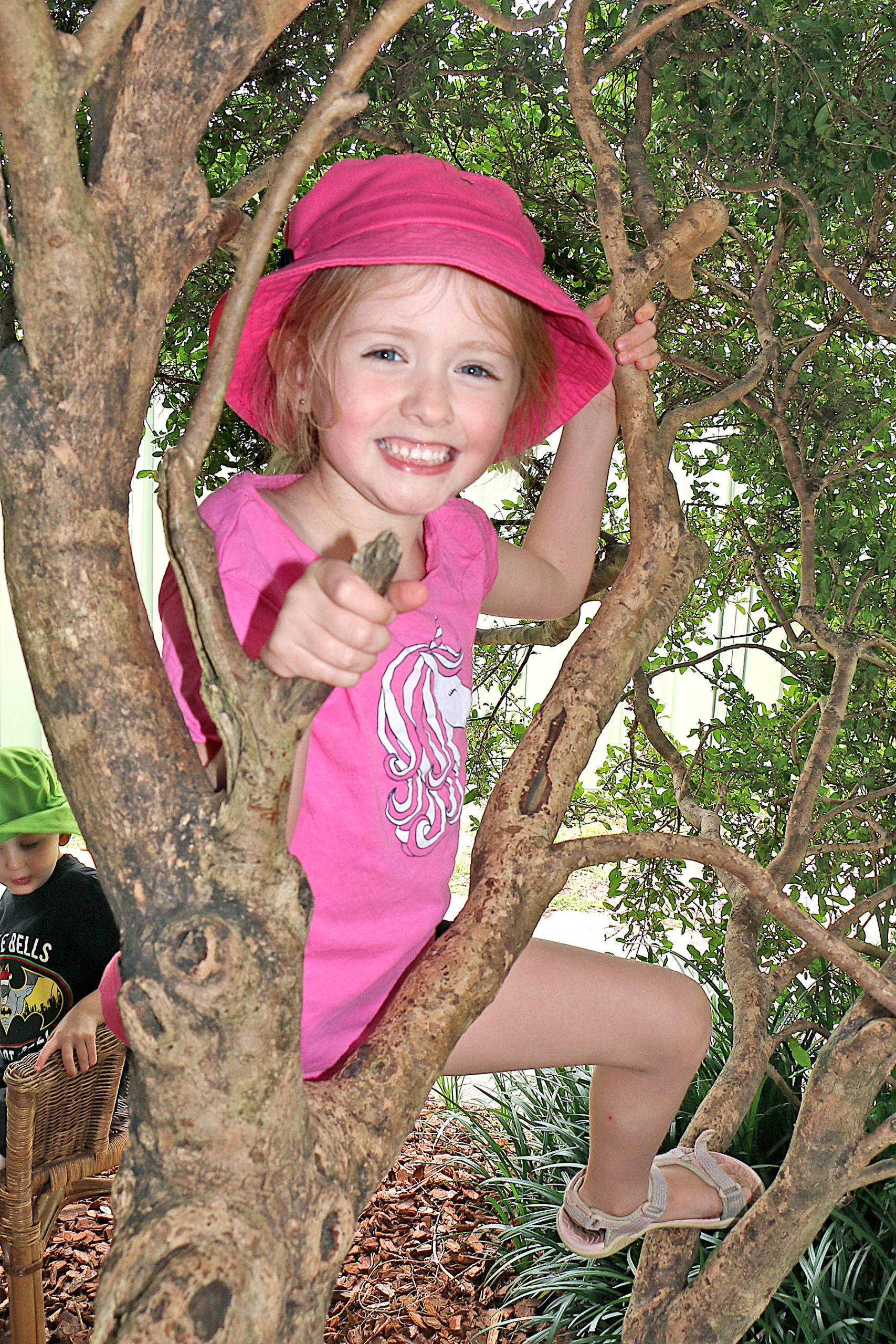 Medowie Community Preschool